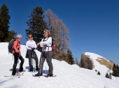 postalm-106