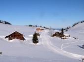 postalm-10