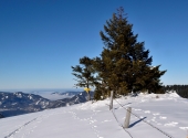 postalm-77