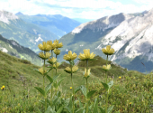 radstaedter-tauern-tag1-4