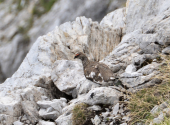 radstaedter-tauern-tag1-6