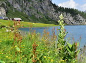 am-tappenkarsee-1