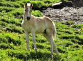 zur-huette-4