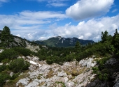 reiteralm7