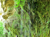 rinnende-mauer-dav-110_00001