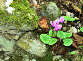 rinnende-mauer-dav-12_00001