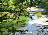 rinnende-mauer-dav-46_00001