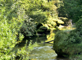 rinnende-mauer-dav-53_00001