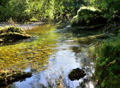 rinnende-mauer-dav-8_00001