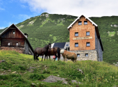 rote-wand-dav-2025-18_00001