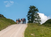 p1120539-schmuckenstein