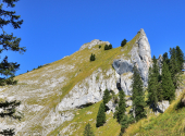dav-schafberg-41_00001_00009