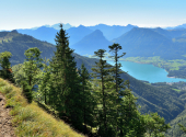 dav-schafberg-44_00001_00010