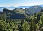 dav-schafberg-47_00001_00011
