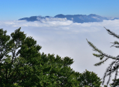 dav-schafberg-64_00001_00015