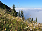 dav-schafberg-75_00001_00016