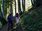 dav-schafberg-7_00001_00001