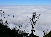dav-schafberg-83_00001_00019 dav-schafberg-83_00001_00019