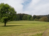 p1270233