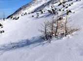schneibstein-dav-100_00001