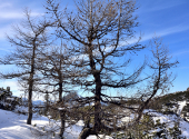 schneibstein-dav-110_00001