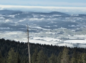 p1010935_01
