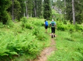 seehorn-16