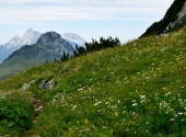 seehorn-39