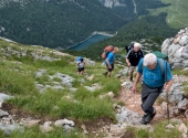 seehorn-63