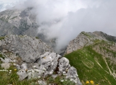 seehorn-105