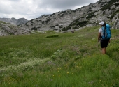 seehorn-162
