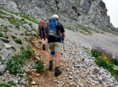 seehorn-211