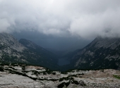 seehorn-212