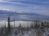 wald-1290062