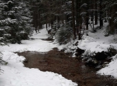 1454240160277-homepage