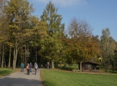 p1150499