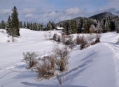 hochries-dav-34