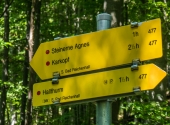 p1110217-steinerne-agnes