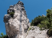p1110236-steinerne-agnes