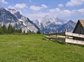 p1270894_bearbeitet-1