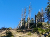 p1150461