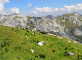 eiskogel-64