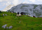 eiskogel-89