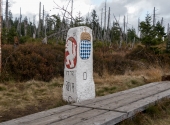 p1310576