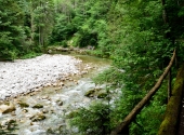 vallepschlucht-50
