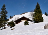 wandberg-dav-63