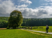 p1200335