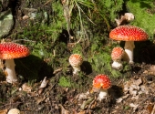 p1280287