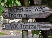 weinberg-tramin-19
