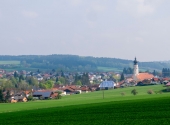 p1300176